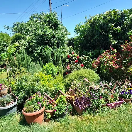 Homestay Soba Lavanda Kladovo