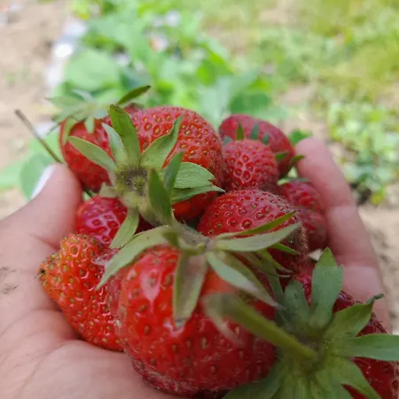 Soba Lavanda Ubytování v soukromí