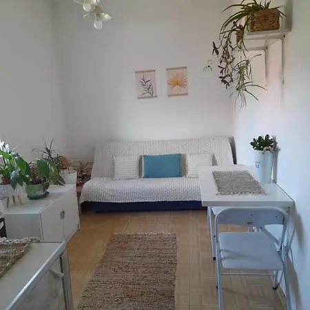 Soba Lavanda Homestay *