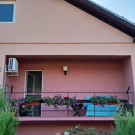 Homestay Soba Lavanda