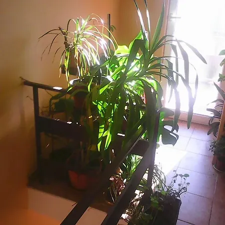 Soba Lavanda Ubytování v soukromí *