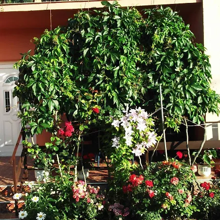 Homestay Soba Lavanda Kladovo