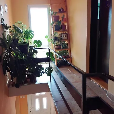 Soba Lavanda Homestay