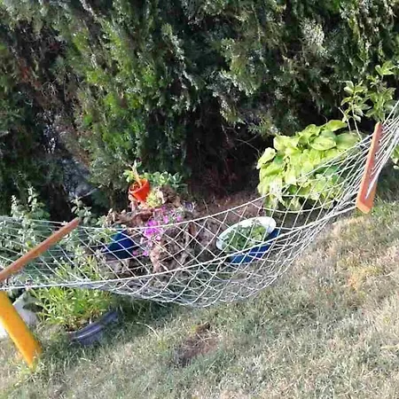 Soba Lavanda Homestay Kladovo
