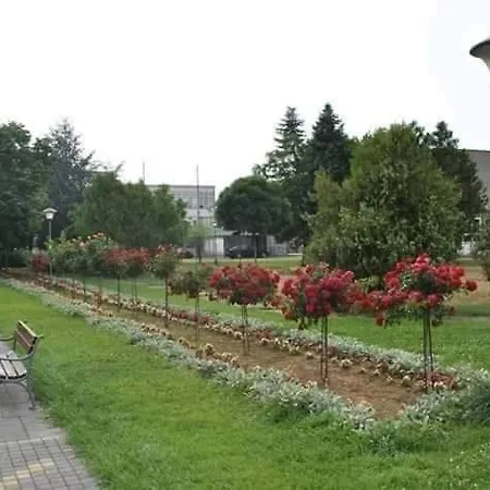 Soba Lavanda 克拉多沃