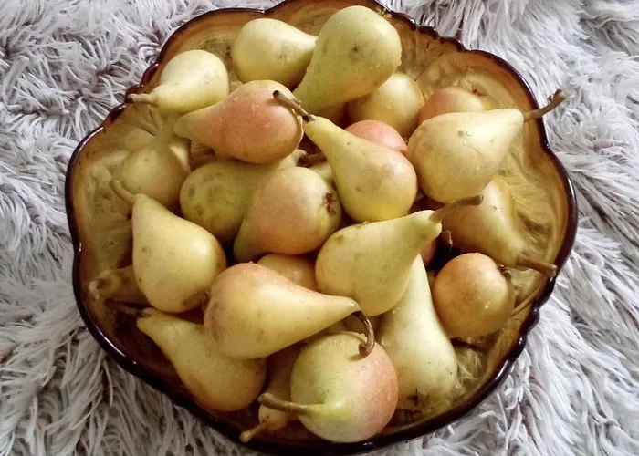 Soba Lavanda קלדאבו