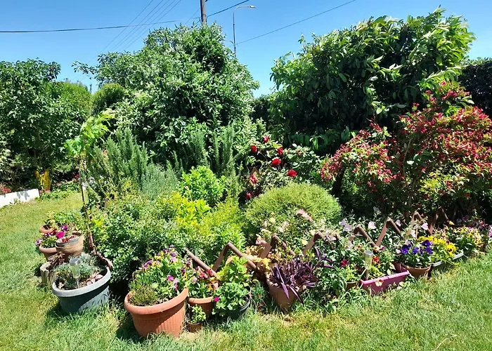 בית אירוח Soba Lavanda קלדאבו