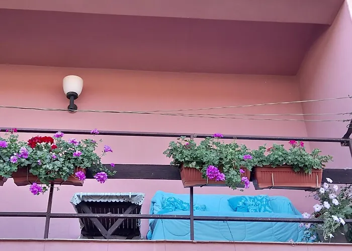 Soba Lavanda * קלדאבו