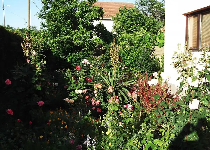 Soba Lavanda בית אירוח *