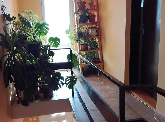 Soba Lavanda Homestay